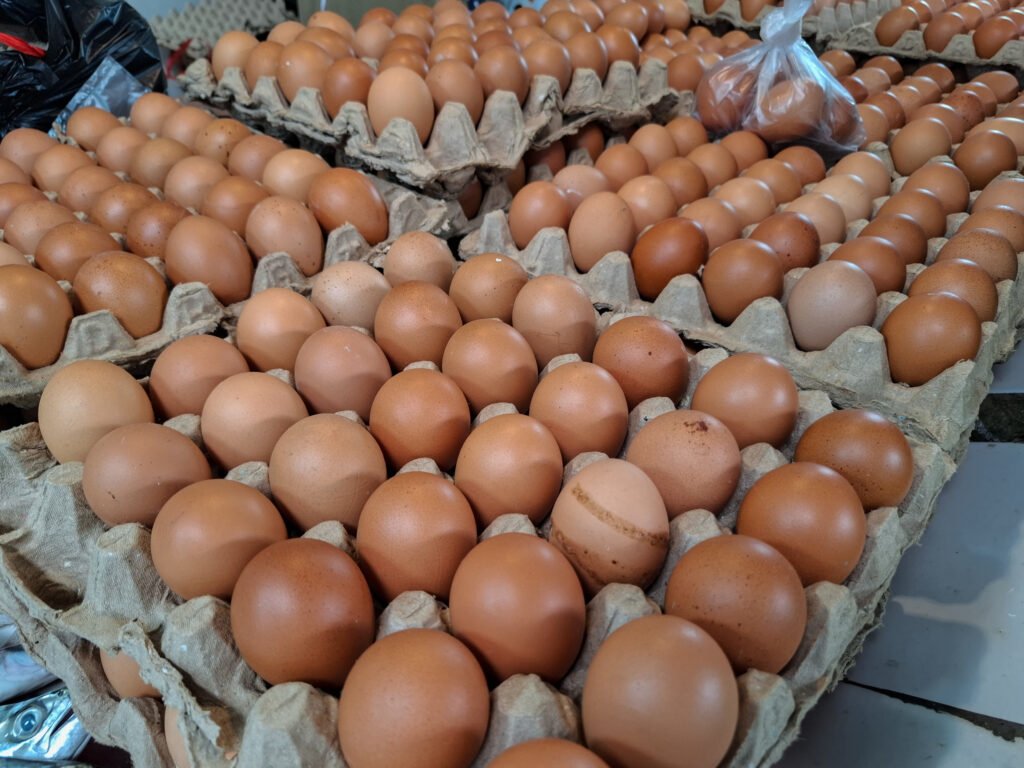 vecteezy piles of chicken eggs on cardboard packages for sale at markets 73870576